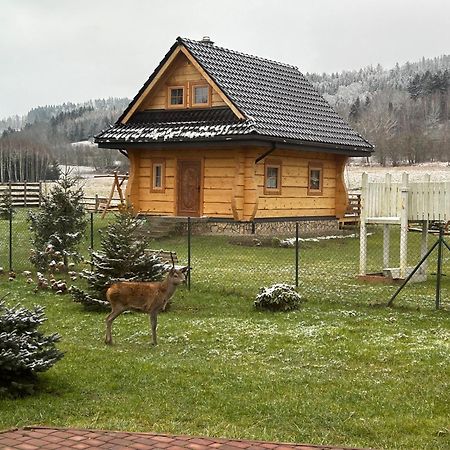 Sloneczna Chata Z Bali Lądek-Zdrój Exterior foto